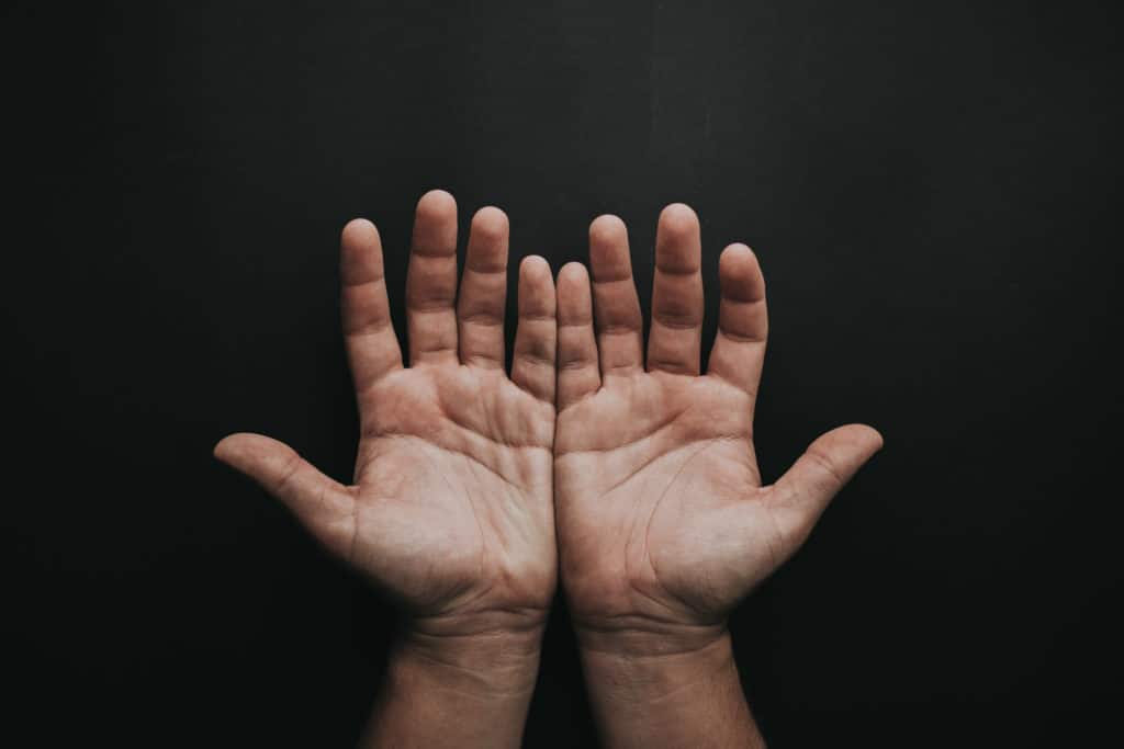 Photo of person s open hands